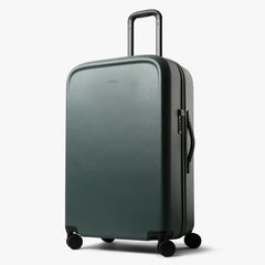 Transit Check–In Large